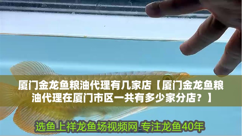 廈門金龍魚糧油代理有幾家店【廈門金龍魚糧油代理在廈門市區一共有多少家分店？】