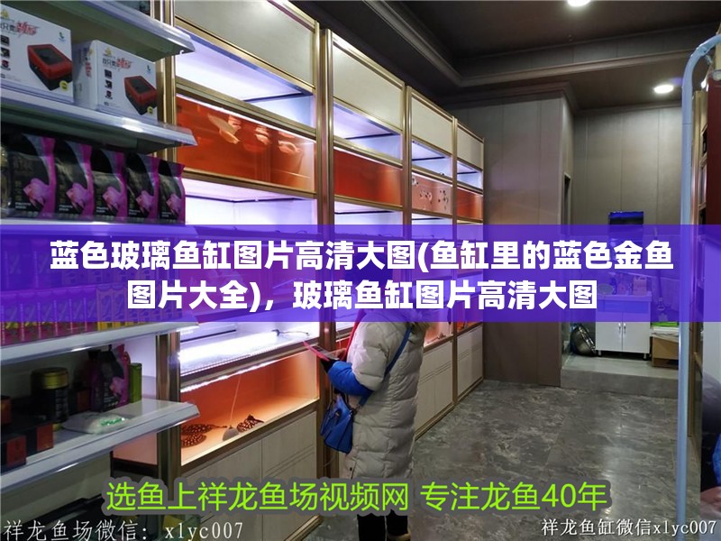 藍色玻璃魚缸圖片高清大圖(魚缸里的藍色金魚圖片大全)，玻璃魚缸圖片高清大圖