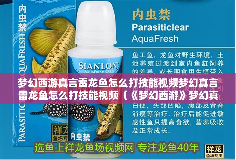 夢幻西游真言雷龍魚怎么打技能視頻夢幻真言雷龍魚怎么打技能視頻（《夢幻西游》夢幻真言雷龍魚怎么打技能視頻）