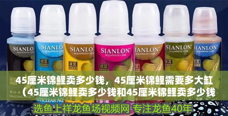 45厘米錦鯉賣多少錢，45厘米錦鯉需要多大缸（45厘米錦鯉賣多少錢和45厘米錦鯉賣多少錢一條）