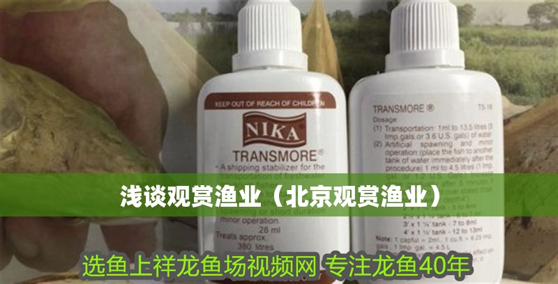 淺談?dòng)^賞漁業(yè)（北京觀賞漁業(yè)）