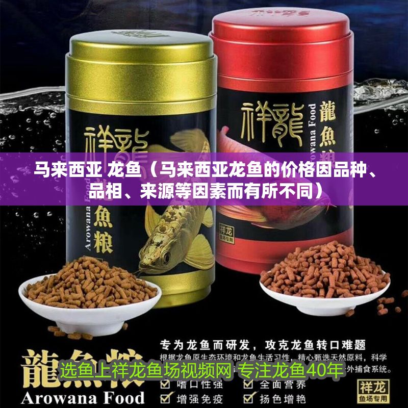 馬來西亞 龍魚（馬來西亞龍魚的價格因品種、品相、來源等因素而有所不同）