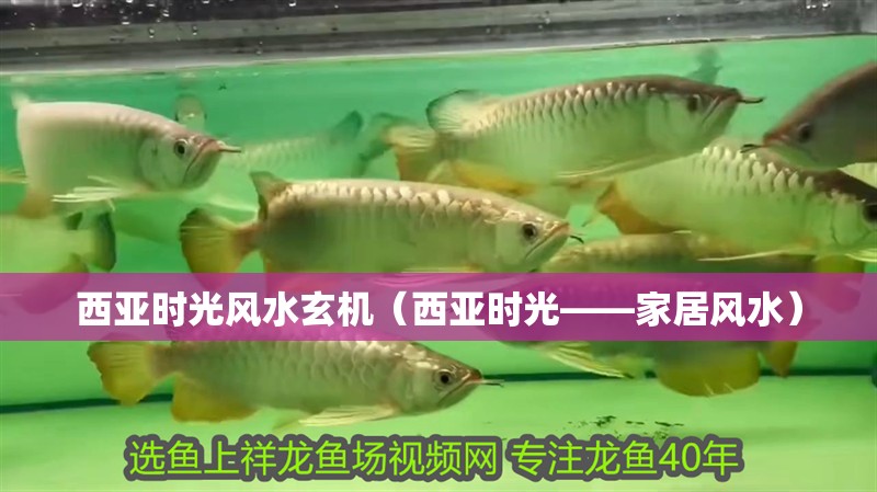 西亞時光風水玄機（西亞時光——家居風水）