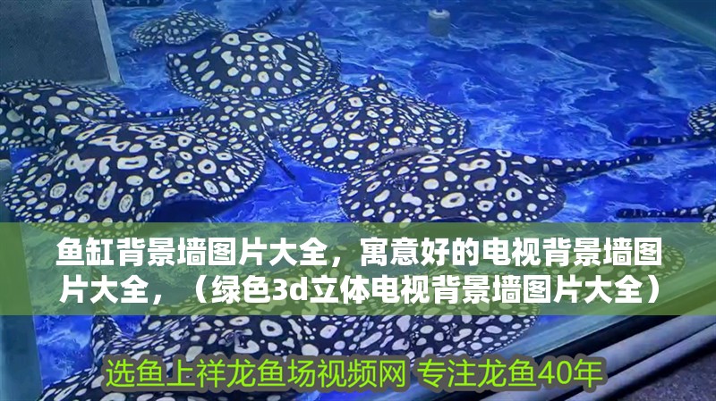 魚缸背景墻圖片大全，寓意好的電視背景墻圖片大全，（綠色3d立體電視背景墻圖片大全）