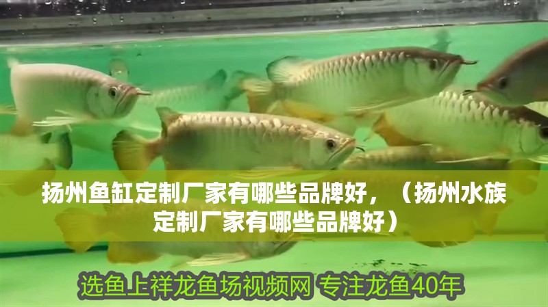 揚州魚缸定制廠家有哪些品牌好，（揚州水族定制廠家有哪些品牌好）