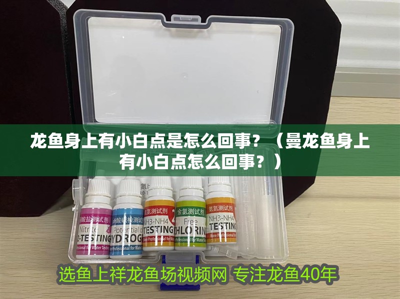 龍魚身上有小白點(diǎn)是怎么回事？（曼龍魚身上有小白點(diǎn)怎么回事？）