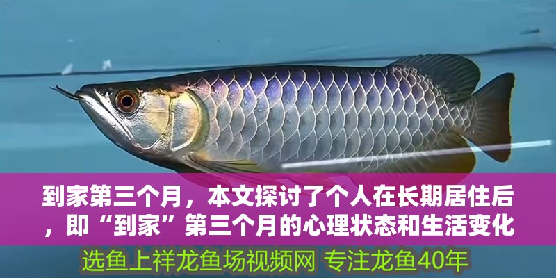 到家第三個(gè)月，本文探討了個(gè)人在長(zhǎng)期居住后，即“到家”第三個(gè)月的心理狀態(tài)和生活變化（到家三個(gè)月）