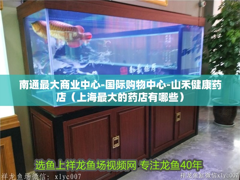 <strong><mark>南通</mark></strong>最大商業中心-國際購物中心-山禾健康藥店（上海最大的藥店有哪些）