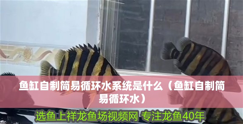 魚缸自制簡(jiǎn)易循環(huán)水系統(tǒng)是什么（魚缸自制簡(jiǎn)易循環(huán)水）
