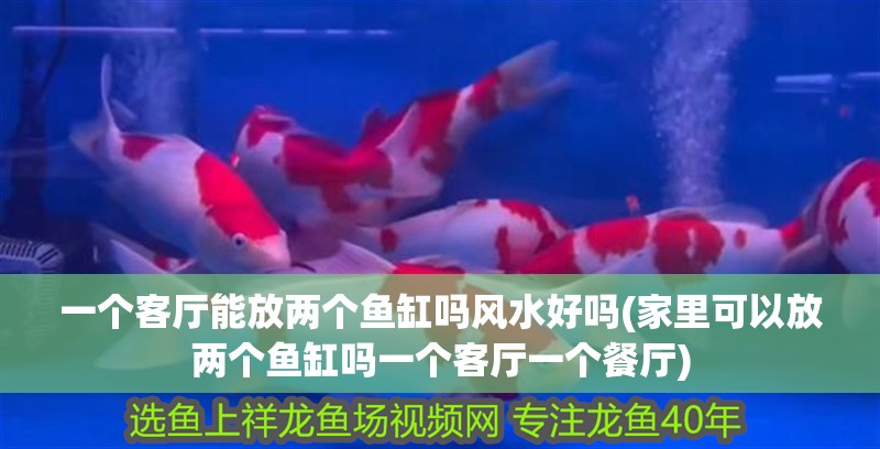 一個客廳能放兩個魚缸嗎風水好嗎(家里可以放兩個魚缸嗎一個客廳一個餐廳)