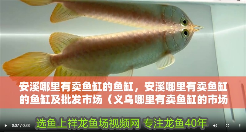 <strong><mark>安溪</mark></strong>哪里有賣魚缸的魚缸，<strong><mark>安溪</mark></strong>哪里有賣魚缸的魚缸及批發市場（義烏哪里有賣魚缸的市場）