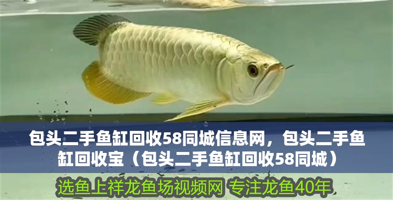 包頭二手魚缸回收58同城信息網，包頭二手魚缸回收寶（包頭二手魚缸回收58同城）
