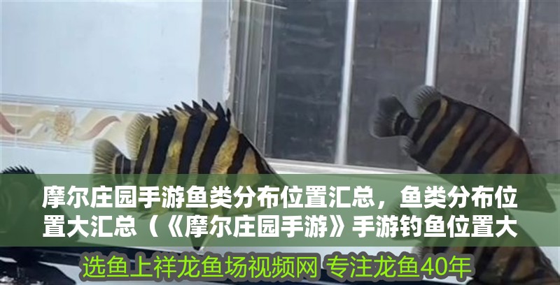 摩爾莊園手游魚類分布位置匯總，魚類分布位置大匯總（《摩爾莊園手游》手游釣魚位置大全） 摩爾莊園手游魚類分布位置匯總，魚類分布位置大匯總（《摩爾莊園手游》手游釣魚位置大全） 觀賞魚百科
