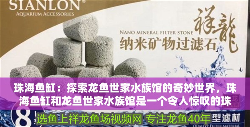 珠海魚缸：探索龍魚世家水族館的奇妙世界，珠海魚缸和龍魚世家水族館是一個令人驚嘆的珠海魚缸