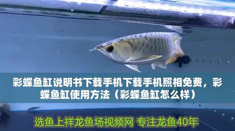 彩蝶魚缸說明書下載手機下載手機照相免費，彩蝶魚缸使用方法（彩蝶魚缸怎么樣） 彩蝶魚缸說明書下載手機下載手機照相免費，彩蝶魚缸使用方法（彩蝶魚缸怎么樣） 觀賞魚百科
