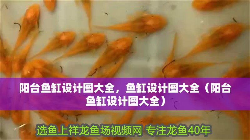 陽臺(tái)魚缸設(shè)計(jì)圖大全，魚缸設(shè)計(jì)圖大全（陽臺(tái)魚缸設(shè)計(jì)圖大全）