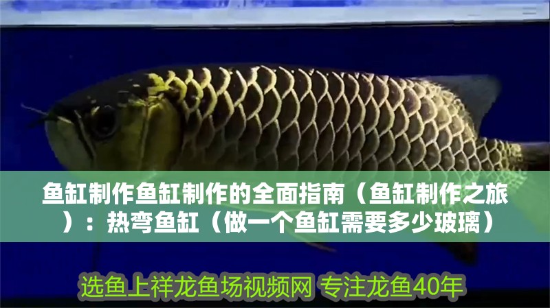 魚缸制作魚缸制作的全面指南（魚缸制作之旅）：熱彎魚缸（做一個魚缸需要多少玻璃）