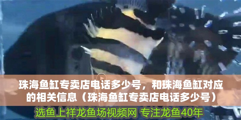 珠海魚缸專賣店電話多少號(hào)，和珠海魚缸對應(yīng)的相關(guān)信息（珠海魚缸專賣店電話多少號(hào)）