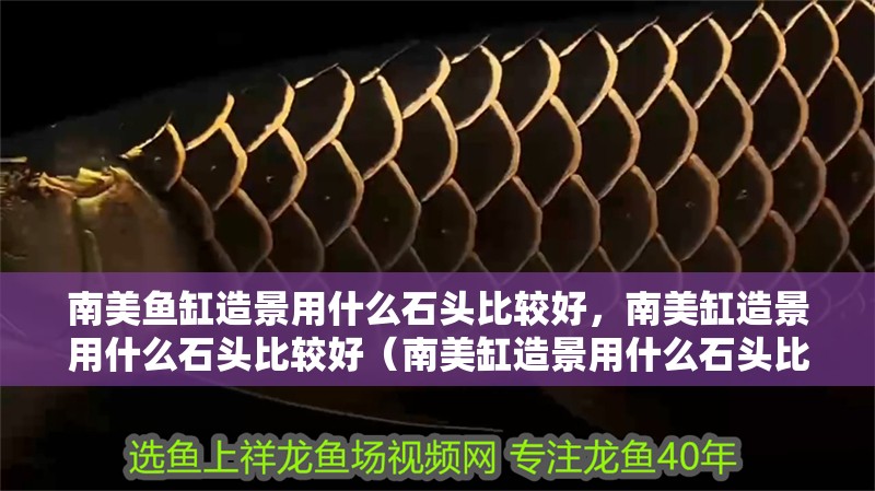 南美魚缸造景用什么石頭比較好，南美缸造景用什么石頭比較好（南美缸造景用什么石頭比較好，）