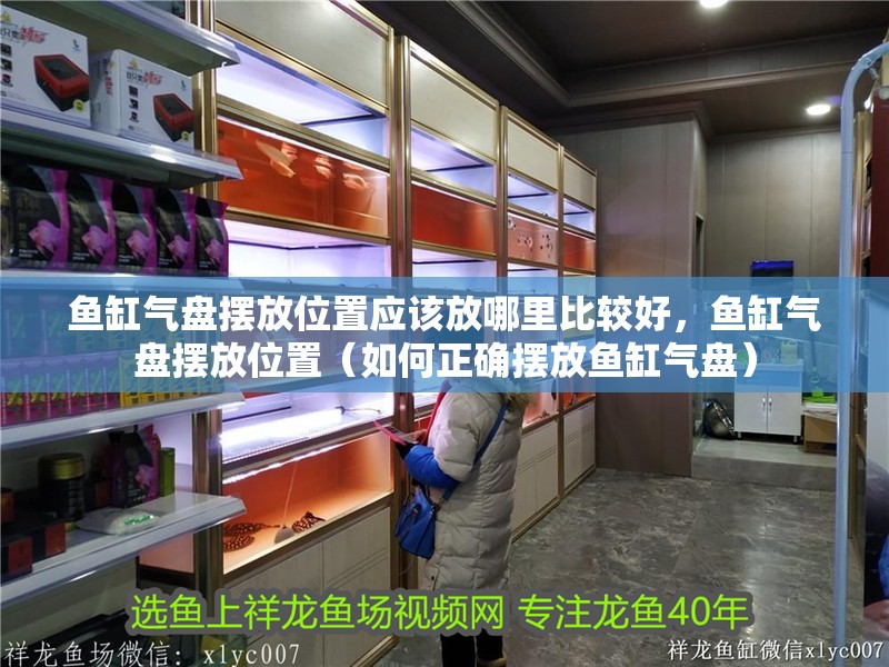 魚缸氣盤擺放位置應(yīng)該放哪里比較好，魚缸氣盤擺放位置（如何正確擺放魚缸氣盤）