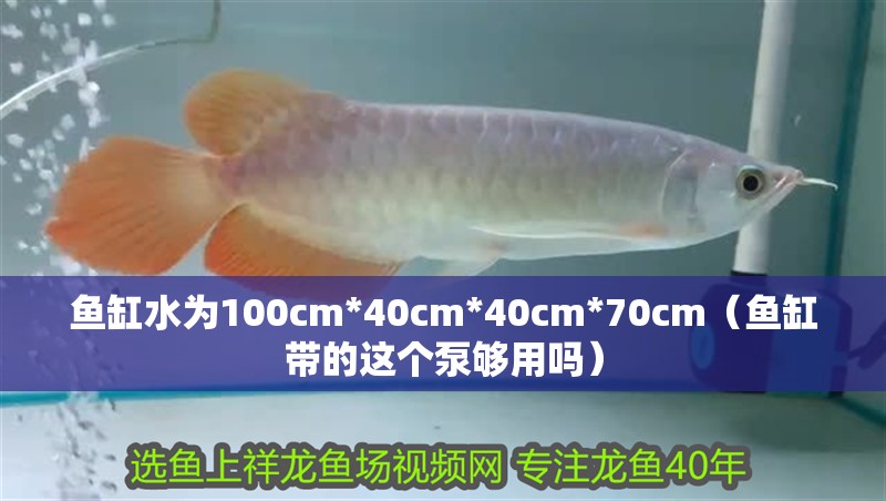 魚缸水為100cm*40cm*40cm*70cm（魚缸帶的這個泵夠用嗎）