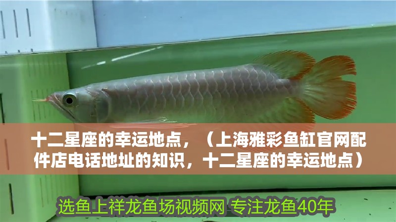 十二星座的幸運地點，（<strong><mark>上海</mark></strong>雅彩魚缸官網(wǎng)配件店電話地址的知識，十二星座的幸運地點）