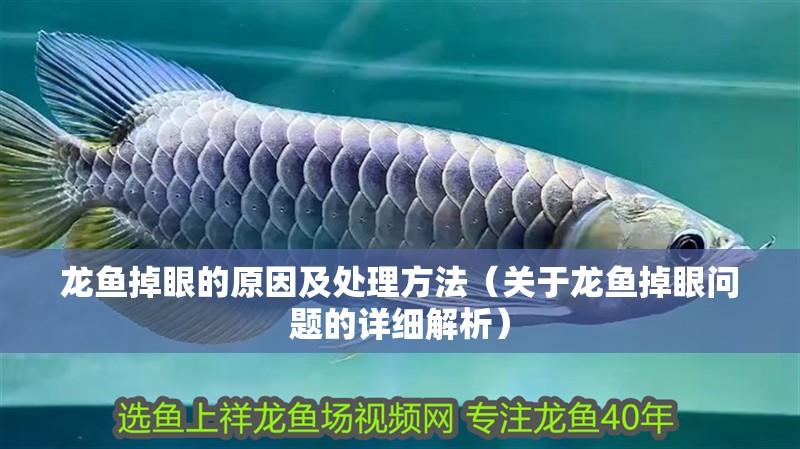 龍魚(yú)掉眼的原因及處理方法（關(guān)于龍魚(yú)掉眼問(wèn)題的詳細(xì)解析）