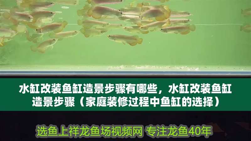 水缸改裝魚缸造景步驟有哪些，水缸改裝魚缸造景步驟（家庭裝修過程中魚缸的選擇）