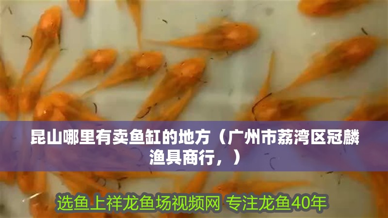 昆山哪里有賣魚缸的地方（廣州市荔灣區冠麟漁具商行，）