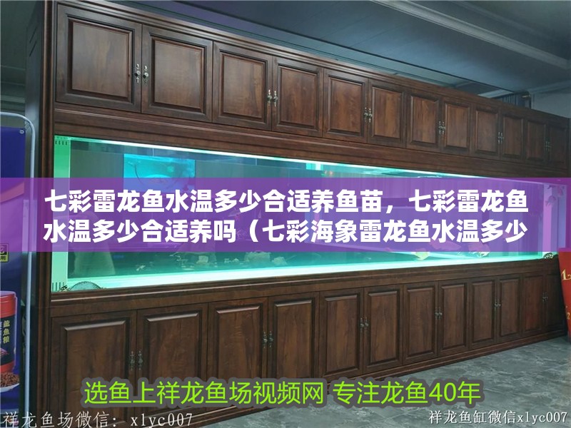 魚缸用增氧泵價格是多少:魚缸增氧機-xtrac增氧機-xtrac增氧機 七彩雷龍魚水溫多少合適養魚苗,七彩雷龍魚水溫多少合適養嗎(七彩海象雷龍魚水溫多少合適養魚苗) 觀賞魚百科 七彩雷龍魚水溫多少合適養魚苗,七彩雷龍魚水溫多少合適養嗎(七彩海象雷龍魚水溫多少合適養魚苗) 七彩雷龍魚水溫多少合適養魚苗,七彩雷龍魚水溫多少合適養嗎(七彩海象雷龍魚水溫多少合適養魚苗) 觀賞魚百科