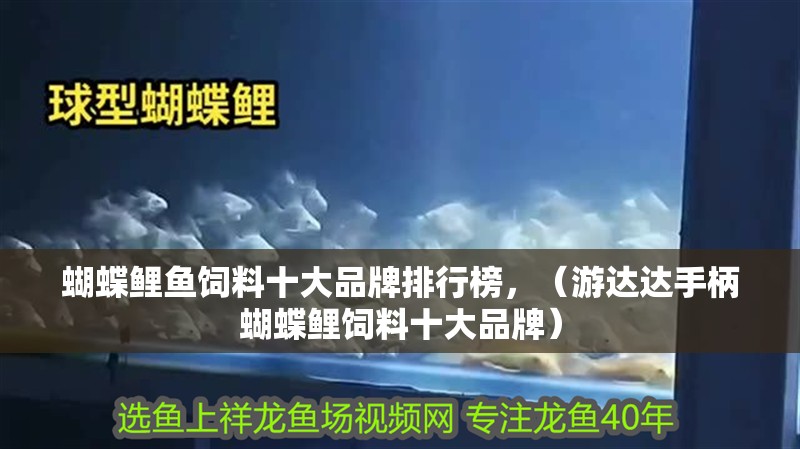 蝴蝶鯉魚飼料十大品牌排行榜，（游達達手柄蝴蝶鯉飼料十大品牌）