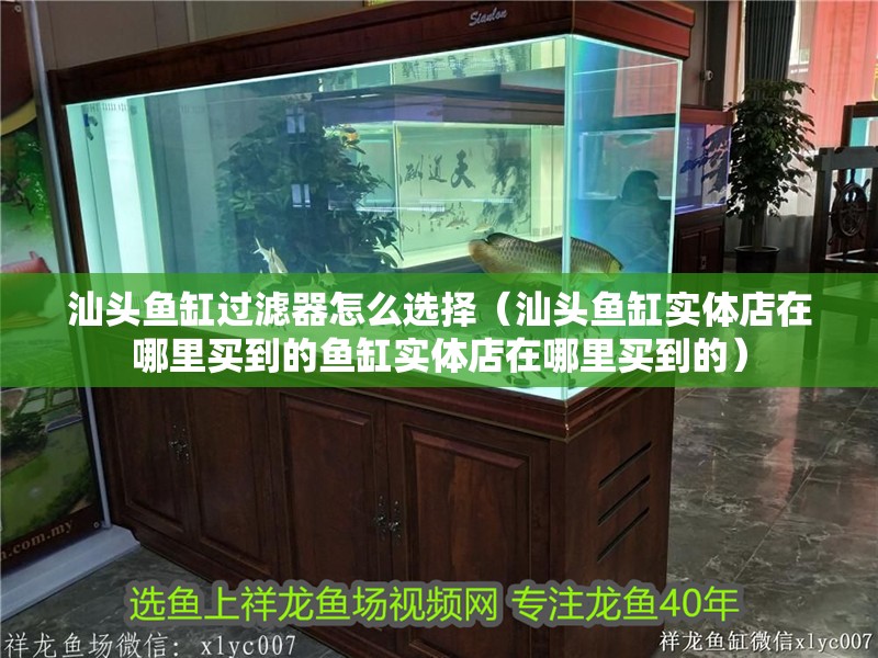 汕頭魚缸過濾器怎么選擇（汕頭魚缸實體店在哪里買到的魚缸實體店在哪里買到的）