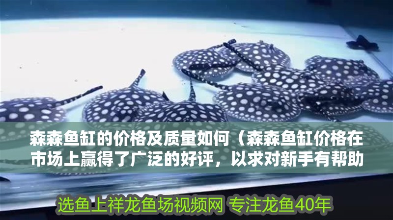 森森魚缸的價(jià)格及質(zhì)量如何（森森魚缸價(jià)格在市場上贏得了廣泛的好評，以求對新手有幫助） 森森魚缸的價(jià)格及質(zhì)量如何（森森魚缸價(jià)格在市場上贏得了廣泛的好評，以求對新手有幫助） 觀賞魚百科