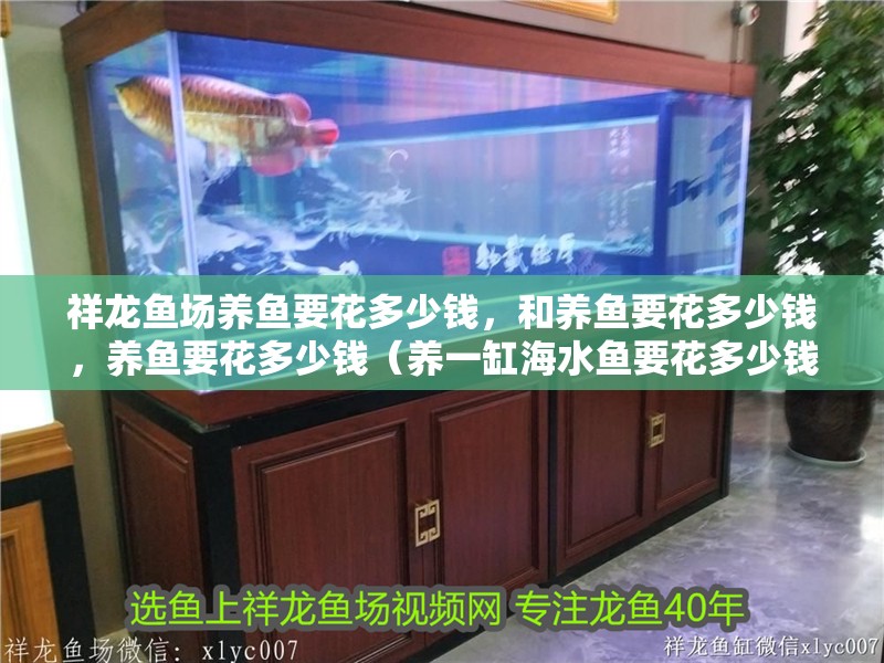 祥龍魚場養魚要花多少錢，和養魚要花多少錢，養魚要花多少錢（養一缸海水魚要花多少錢）