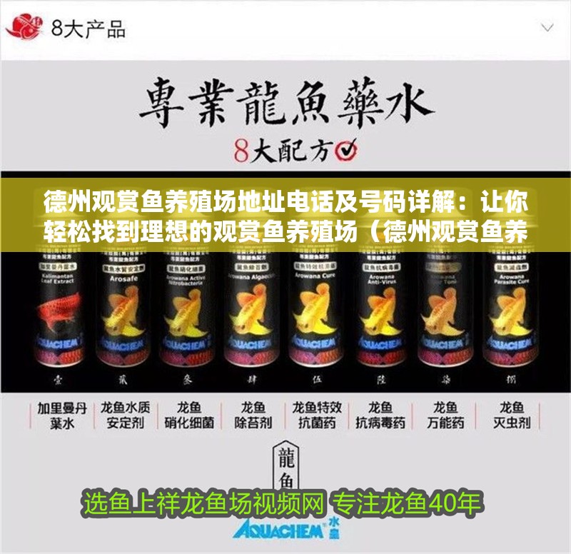 德州觀賞魚養(yǎng)殖場地址電話及號碼詳解:讓你輕松找到理想的觀賞魚養(yǎng)殖場(德州觀賞魚養(yǎng)殖場地址電話及號碼詳解) 觀賞魚百科 第2張 德州觀賞魚養(yǎng)殖場地址電話及號碼詳解:讓你輕松找到理想的觀賞魚養(yǎng)殖場(德州觀賞魚養(yǎng)殖場地址電話及號碼詳解) 德州觀賞魚養(yǎng)殖場地址電話及號碼詳解:讓你輕松找到理想的觀賞魚養(yǎng)殖場(德州觀賞魚養(yǎng)殖場地址電話及號碼詳解) 觀賞魚百科 第2張