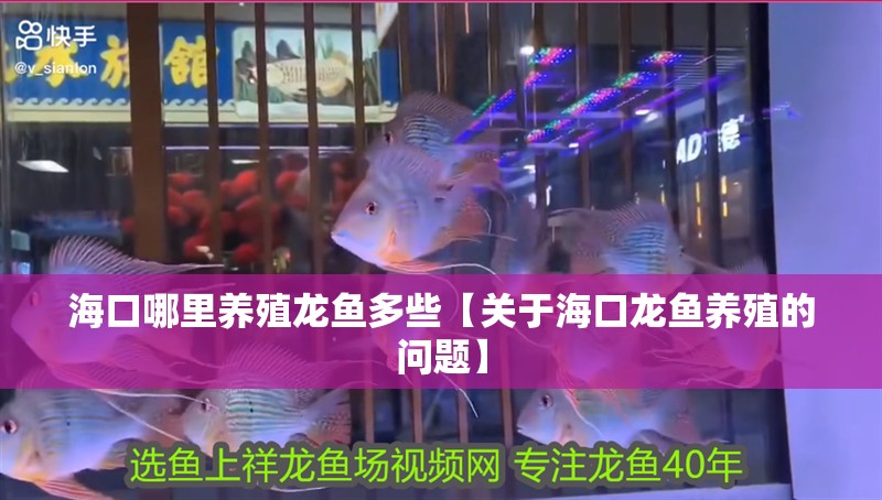 海口哪里養(yǎng)殖龍魚多些【關于海口龍魚養(yǎng)殖的問題】