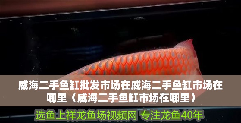 <strong><mark>威海</mark></strong>二手魚缸批發市場在<strong><mark>威海</mark></strong>二手魚缸市場在哪里（<strong><mark>威海</mark></strong>二手魚缸市場在哪里）