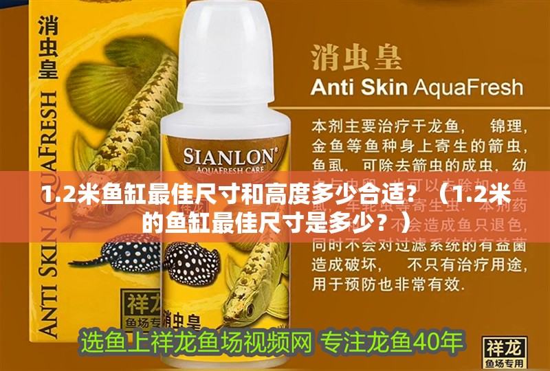 1.2米魚缸最佳尺寸和高度多少合適？（1.2米的魚缸最佳尺寸是多少？）