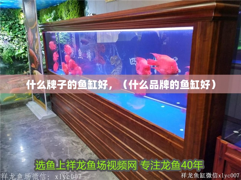 什么牌子的魚缸好，（什么品牌的魚缸好）