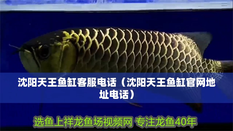 沈陽天王魚缸客服電話（沈陽天王魚缸官網地址電話）