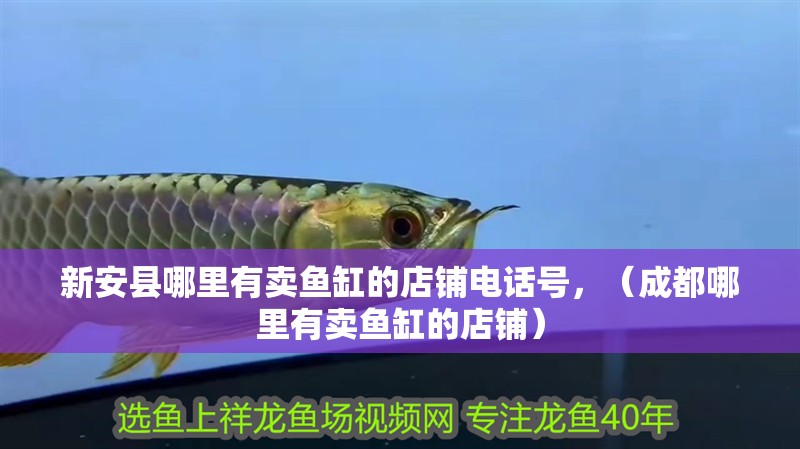 <strong><mark>新安</mark></strong>縣哪里有賣魚缸的店鋪電話號，（成都哪里有賣魚缸的店鋪）