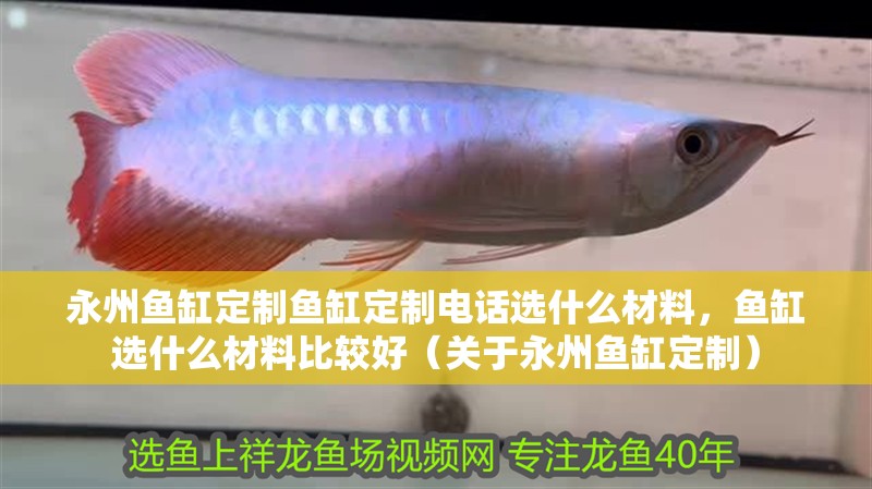 永州魚缸定制魚缸定制電話選什么材料，魚缸選什么材料比較好（關于永州魚缸定制） 永州魚缸定制魚缸定制電話選什么材料，魚缸選什么材料比較好（關于永州魚缸定制） 觀賞魚百科