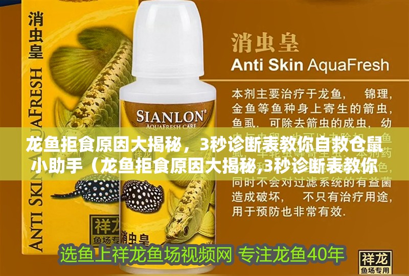 龍魚拒食原因大揭秘，3秒診斷表教你自救倉鼠小助手（龍魚拒食原因大揭秘,3秒診斷表教你自救倉鼠小助手）