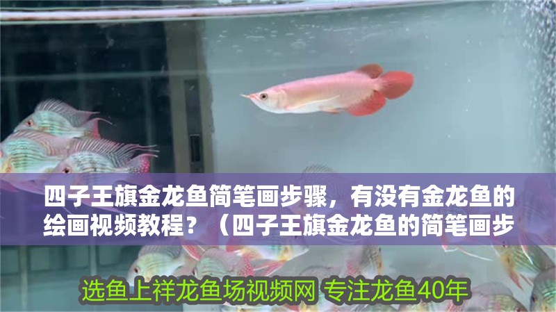 四子王旗金龍魚簡筆畫步驟，有沒有金龍魚的繪畫視頻教程？（四子王旗金龍魚的簡筆畫步驟）