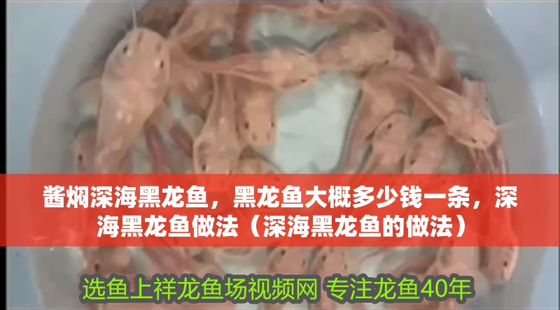 醬燜深海黑龍魚，黑龍魚大概多少錢一條，深海黑龍魚做法（深海黑龍魚的做法）