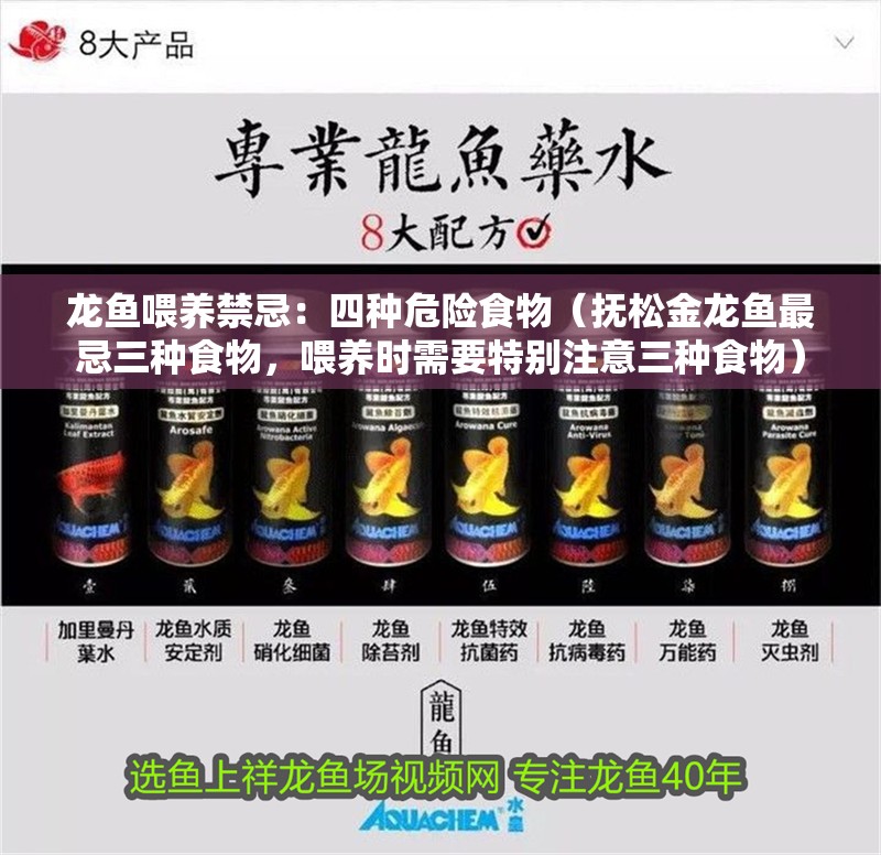 龍魚喂養(yǎng)禁忌：四種危險食物（撫松金龍魚最忌三種食物，喂養(yǎng)時需要特別注意三種食物）