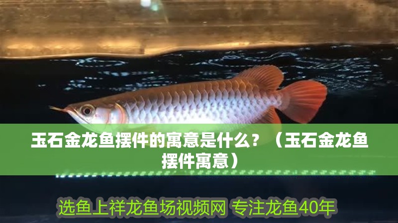 玉石金龍魚擺件的寓意是什么？（玉石金龍魚擺件寓意）