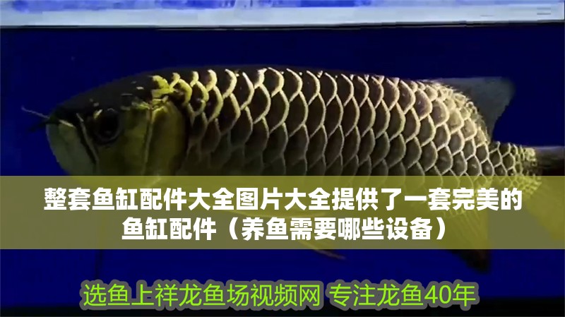 整套魚缸配件大全圖片大全提供了一套完美的魚缸配件（養魚需要哪些設備） 整套魚缸配件大全圖片大全提供了一套完美的魚缸配件（養魚需要哪些設備） 觀賞魚百科