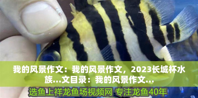 我的風景作文：我的風景作文，2023長城杯水族…文目錄：我的風景作文…
