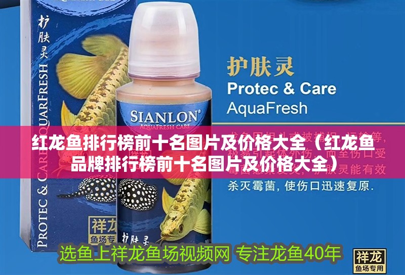 紅龍魚排行榜前十名圖片及價格大全（紅龍魚品牌排行榜前十名圖片及價格大全）